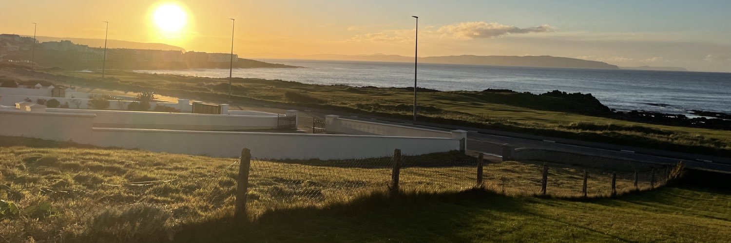 Gillian Traub banner