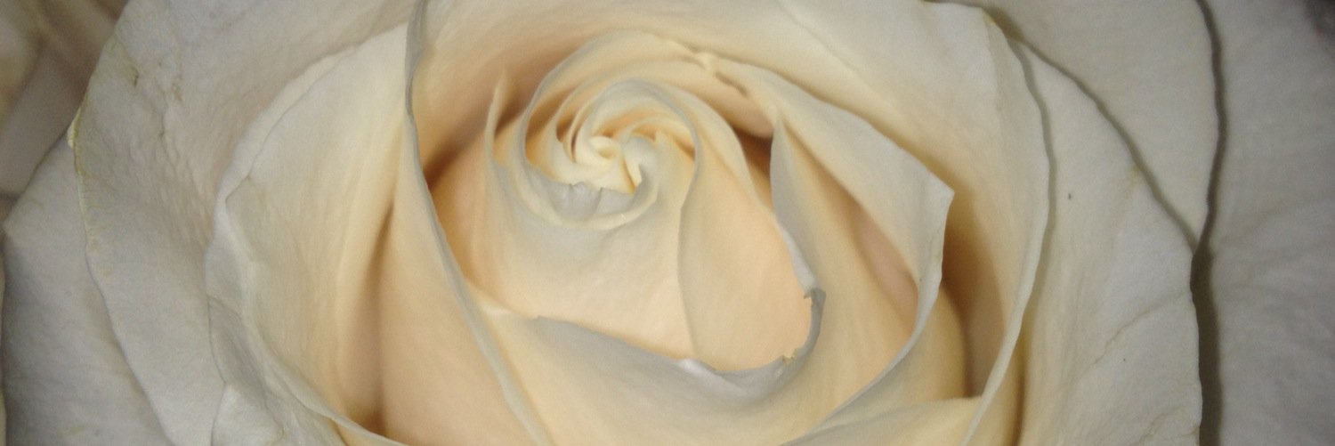 MaribelMerina's profile banner image