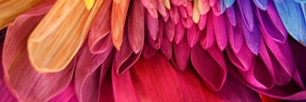 202Saud's profile banner image