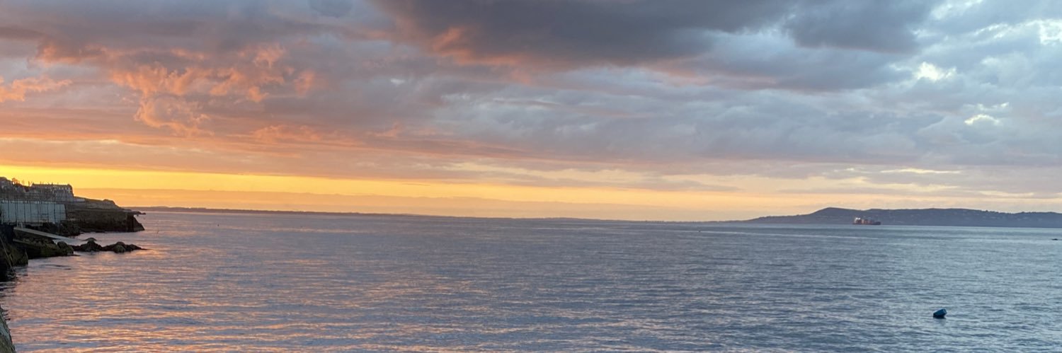 Fergus McFadden banner