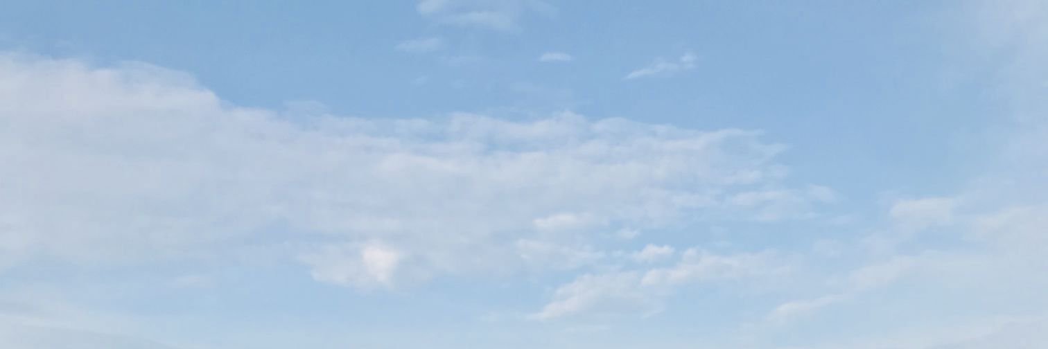 laelafyu's profile banner image