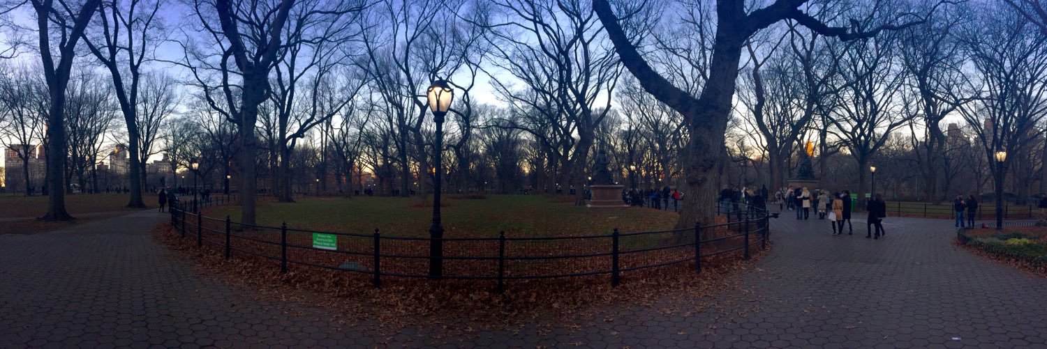 Amanda Vieira banner