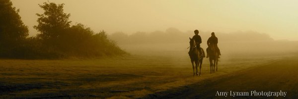 A_Lynam Profile Banner