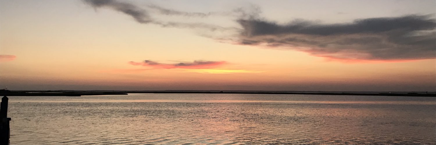 GerberRhona's profile banner image