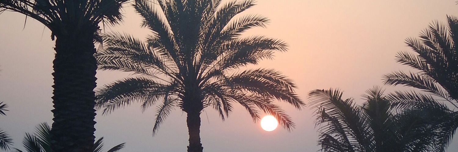 Seth Fairfield banner