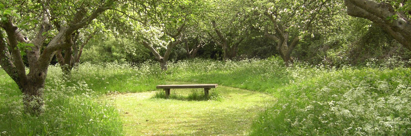 Highfield Park Trust banner