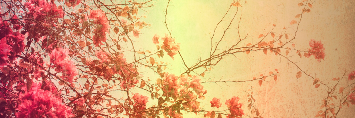 TCuidaCoslada's profile banner image