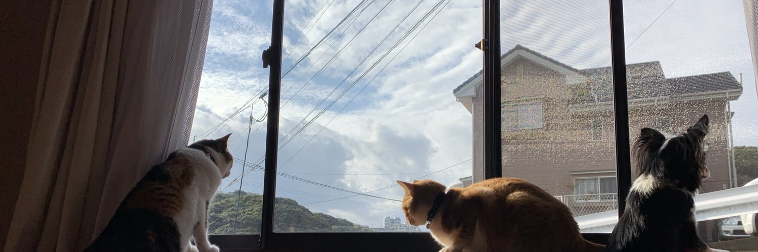 harunapi27's profile banner image