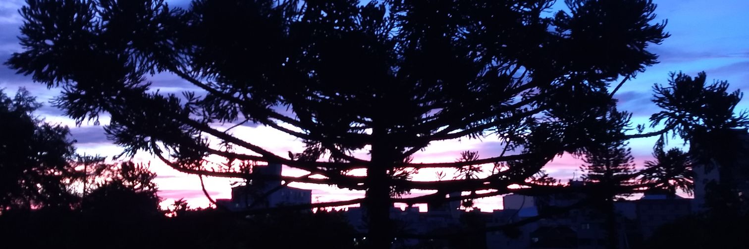 diogormelo's profile banner image