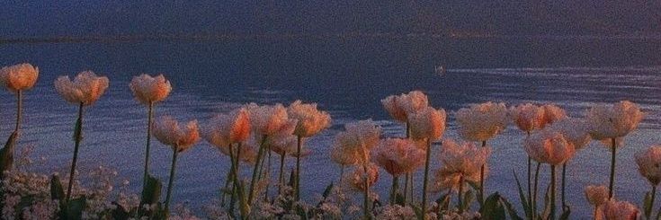 SomethingBlu122's profile banner image
