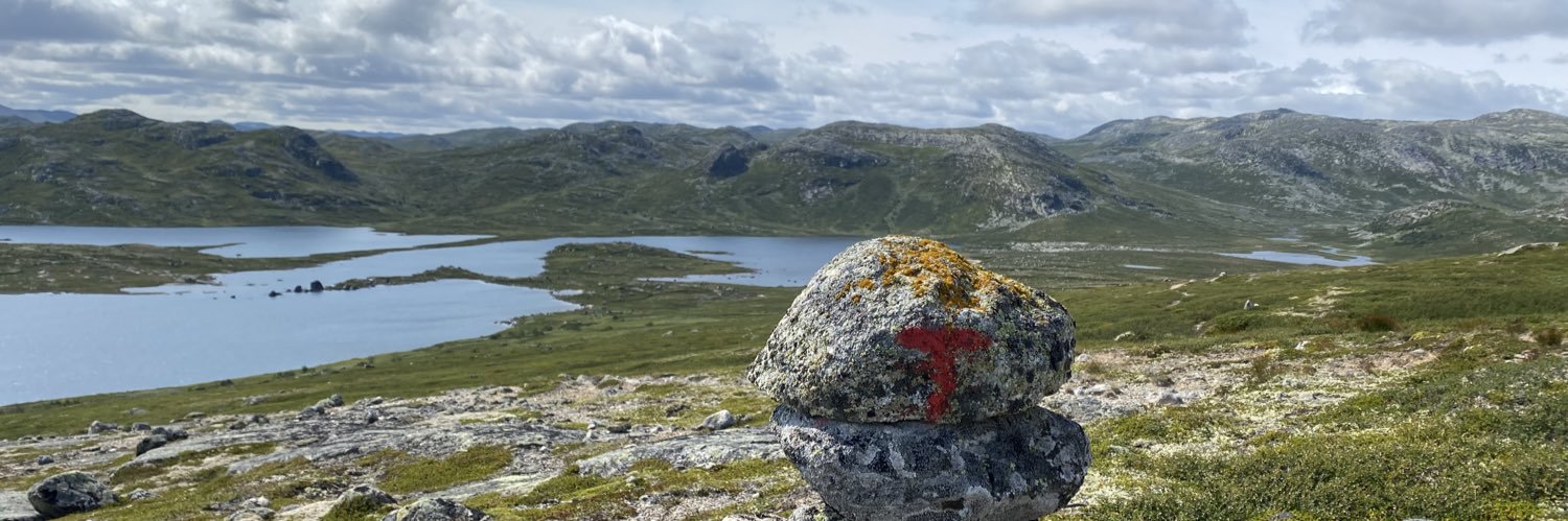 Frode Arnestad banner