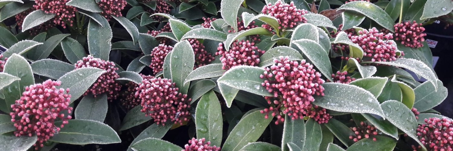 Port Sunlight Garden Centre banner