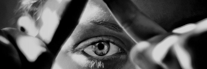 Lea Stojakovic banner