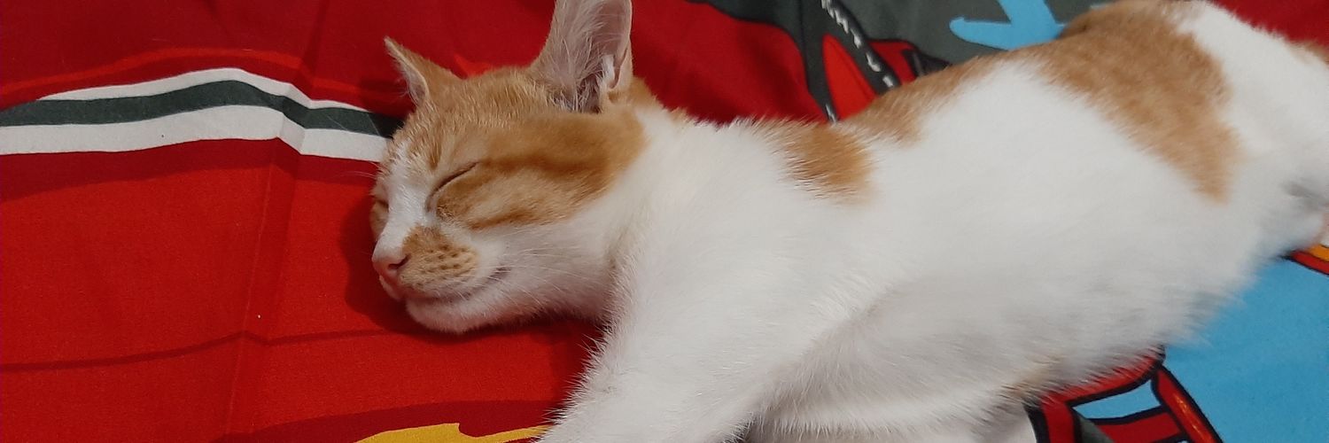 khrlltf's profile banner image