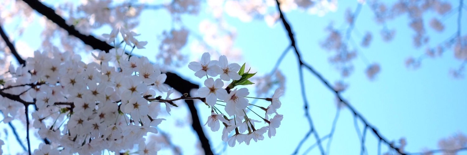 mie_sooze's profile banner image