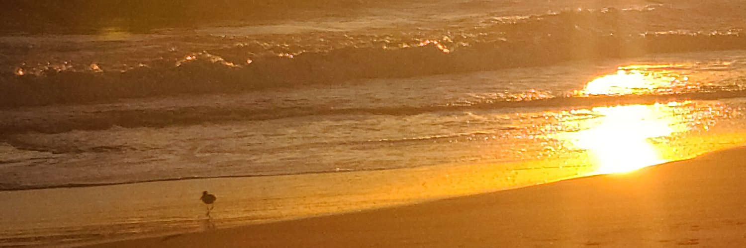 brorfather's profile banner image
