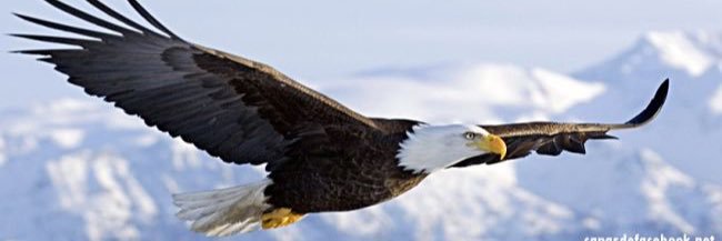 DanielPretzel's profile banner image