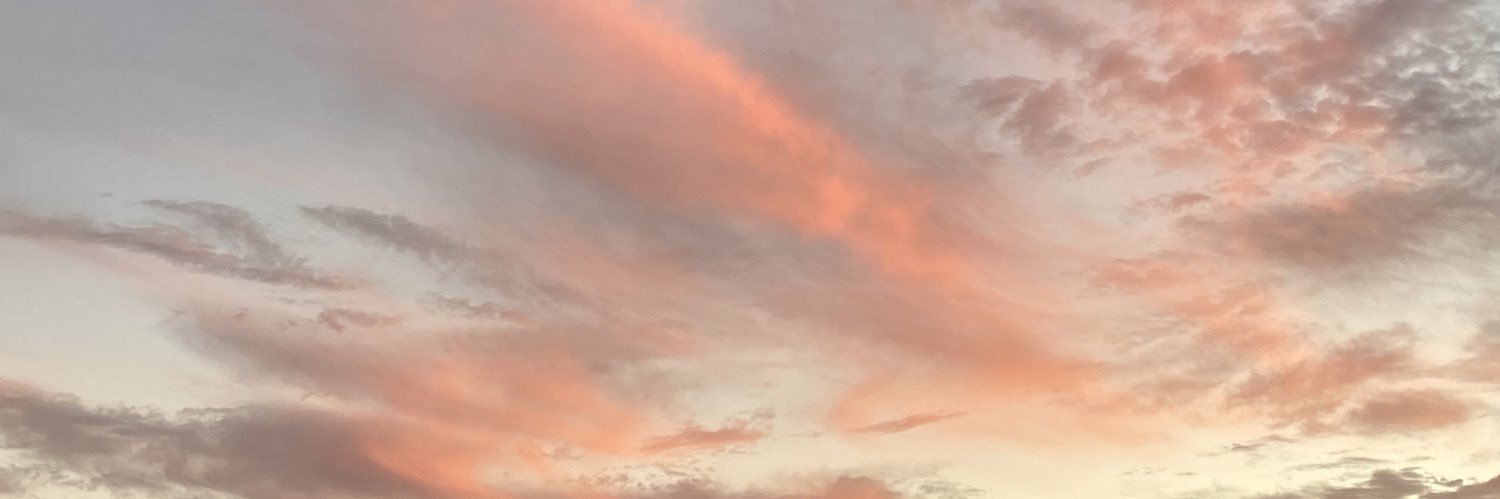 StephieShay's profile banner image
