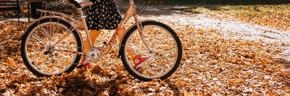 Velodrive's profile banner image