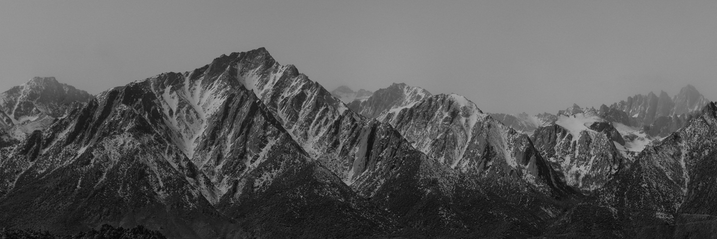grey_noise's profile banner image