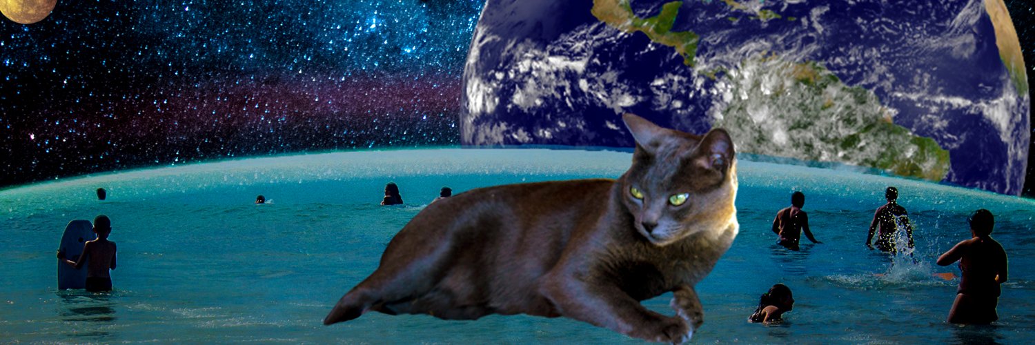 Pamelabernarddo's profile banner image