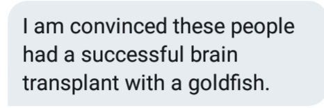 Lacey Thacker banner