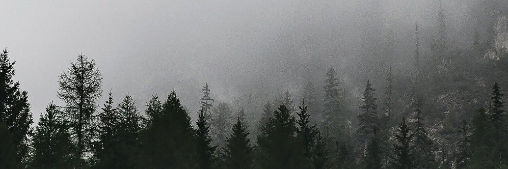 Бабуля, это я, Анастасия banner