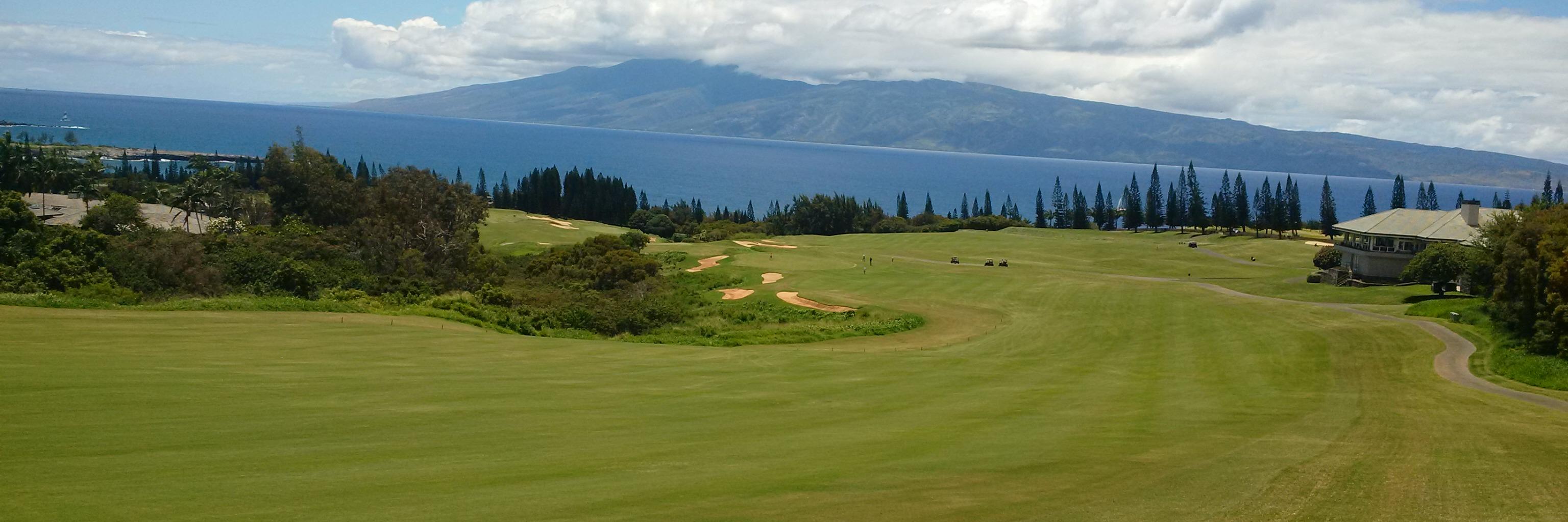 Clinton Rayfield banner