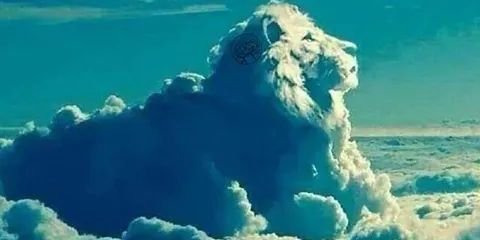 ewertonthrash's profile banner image