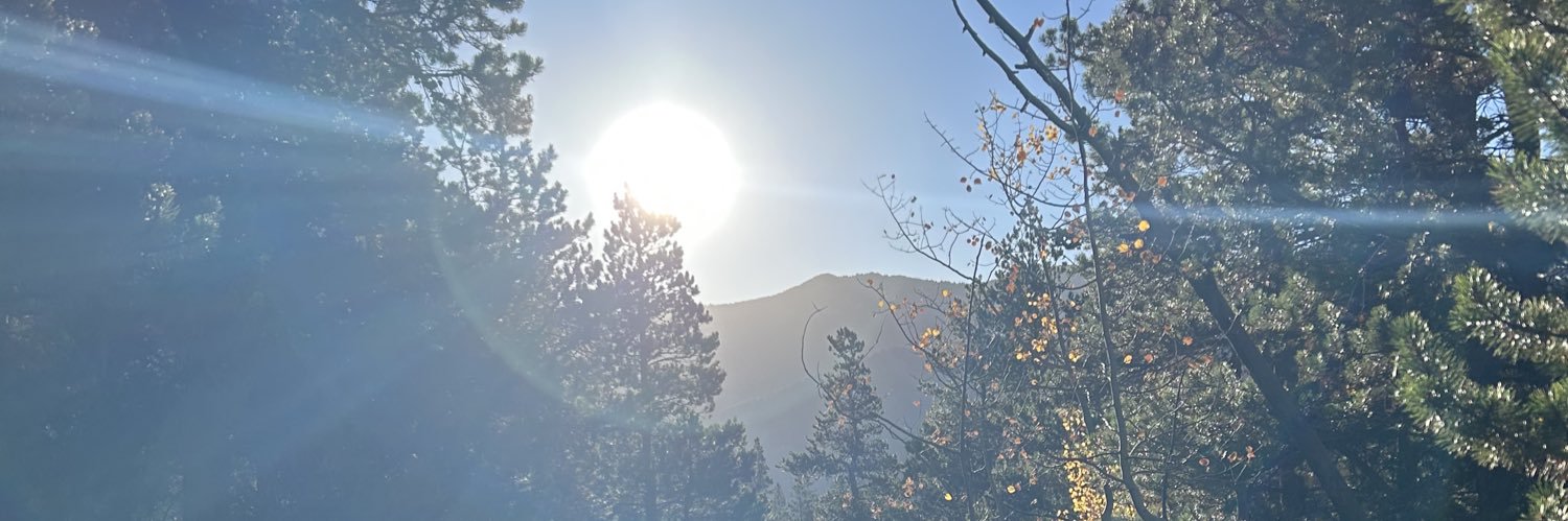 CourtDSchultz's profile banner image