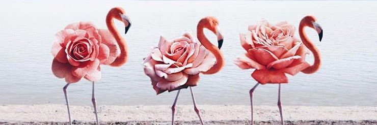 soitucielo's profile banner image