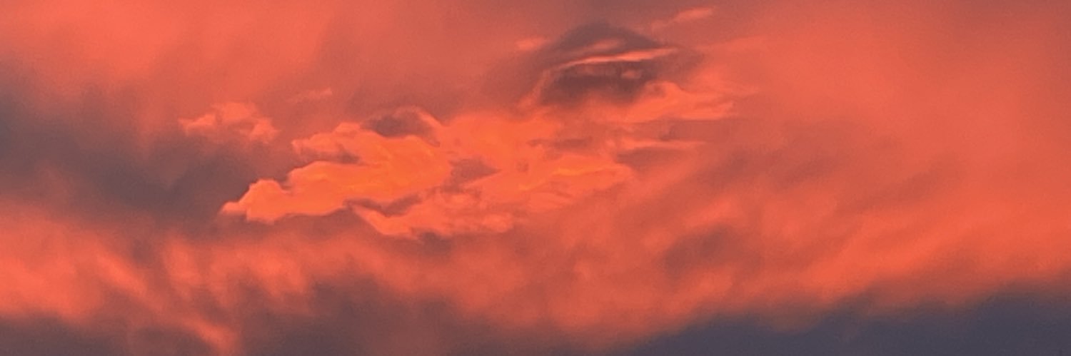 vernon nielsen aka the guerrilla mystic banner