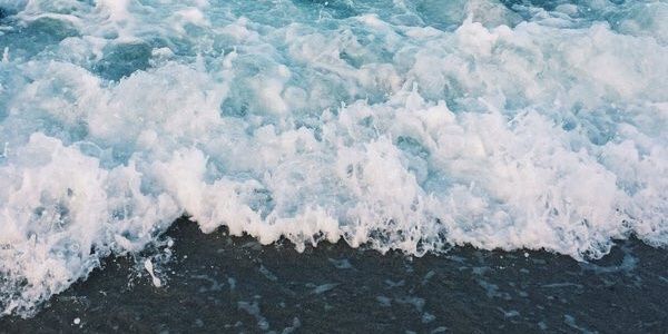 MayaGonzalez9's profile banner image