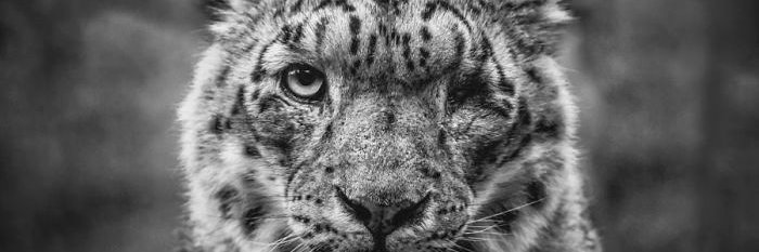 AngelaEsinOzbek's profile banner image