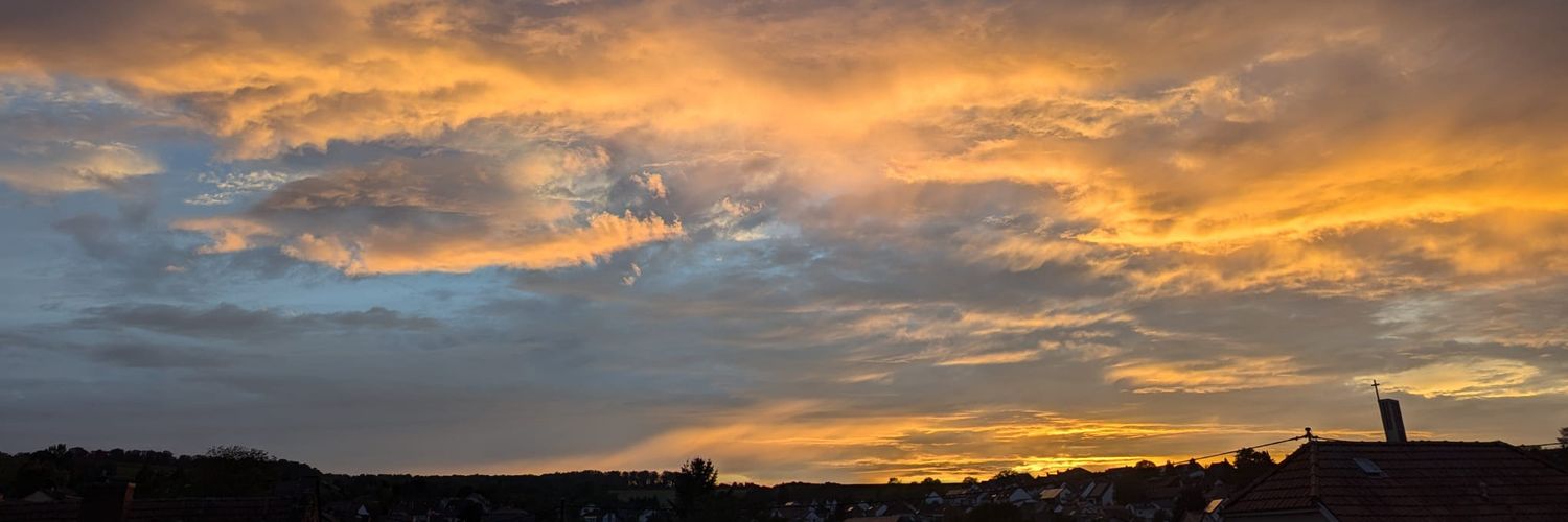 Hans n'Roses🪠💚📯🏃🏼‍♂️🚴🏻🥊 banner