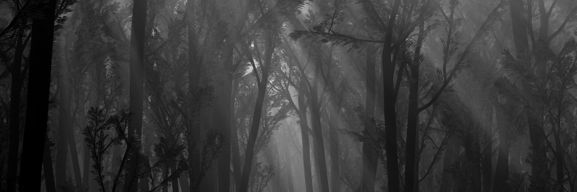 _parampampam_'s profile banner image