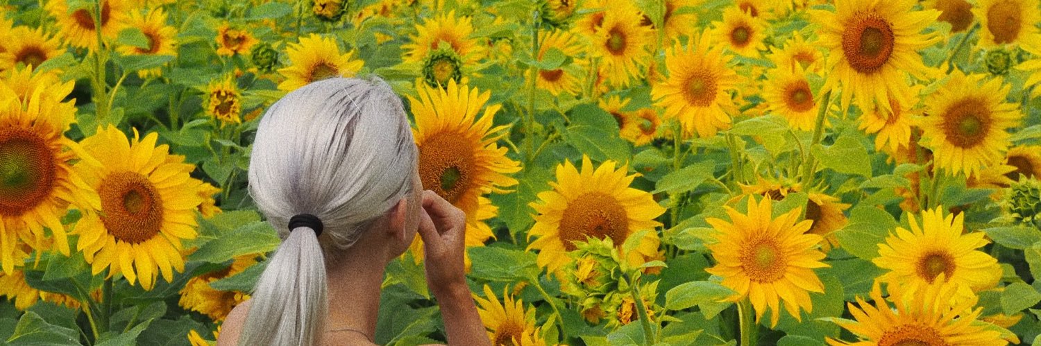 Superfelle's profile banner image
