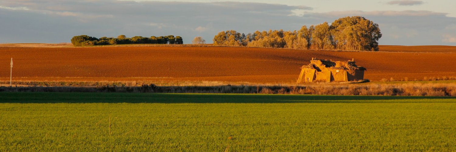 Alvaro95SM's profile banner image