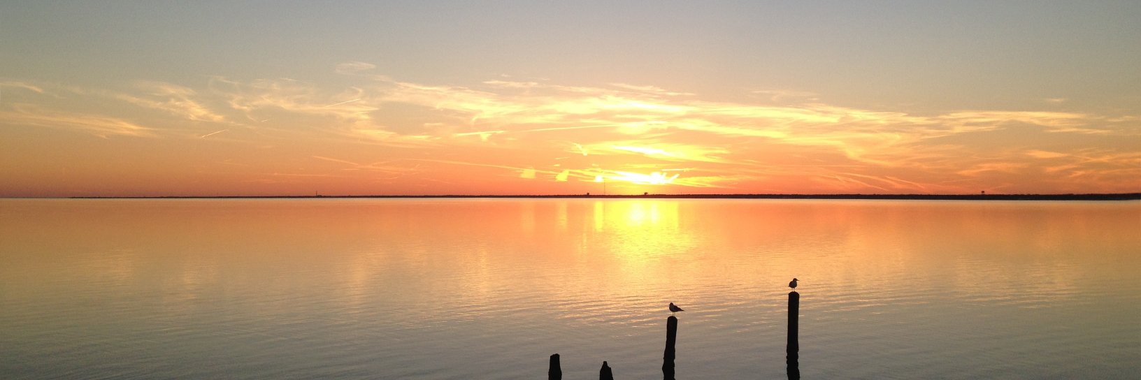 merle uuesoo 🇬🇱 🇪🇸 banner