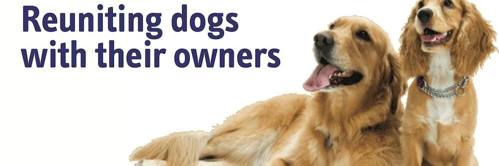 doglostprteam's profile banner image