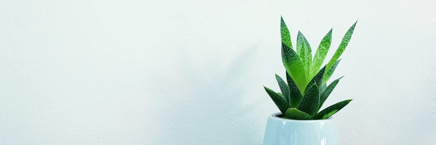 kcomecalvin's profile banner image