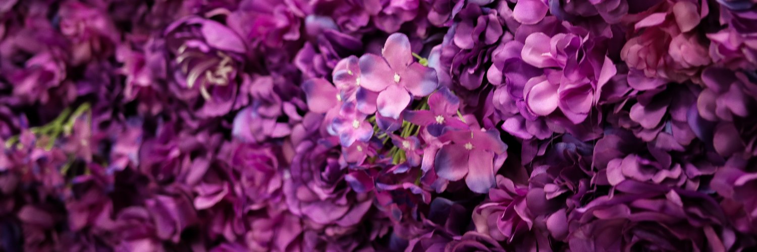 ChristyCWx's profile banner image