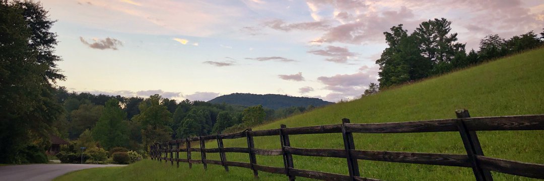 Candace banner