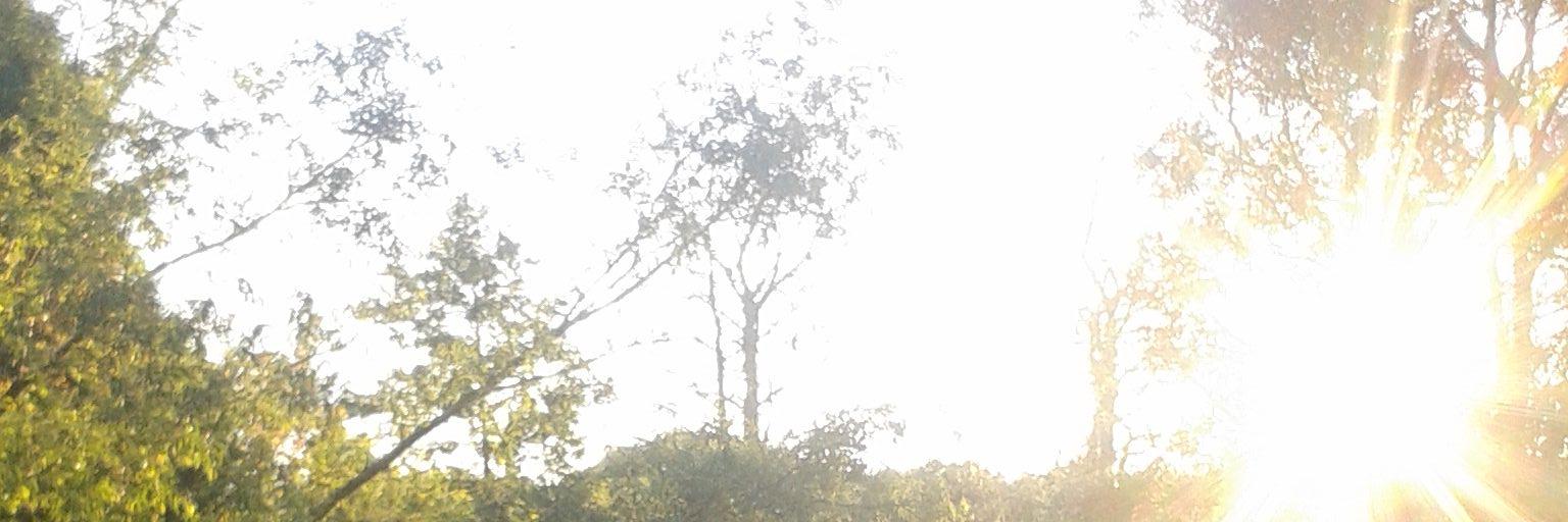 mickiebbz's profile banner image
