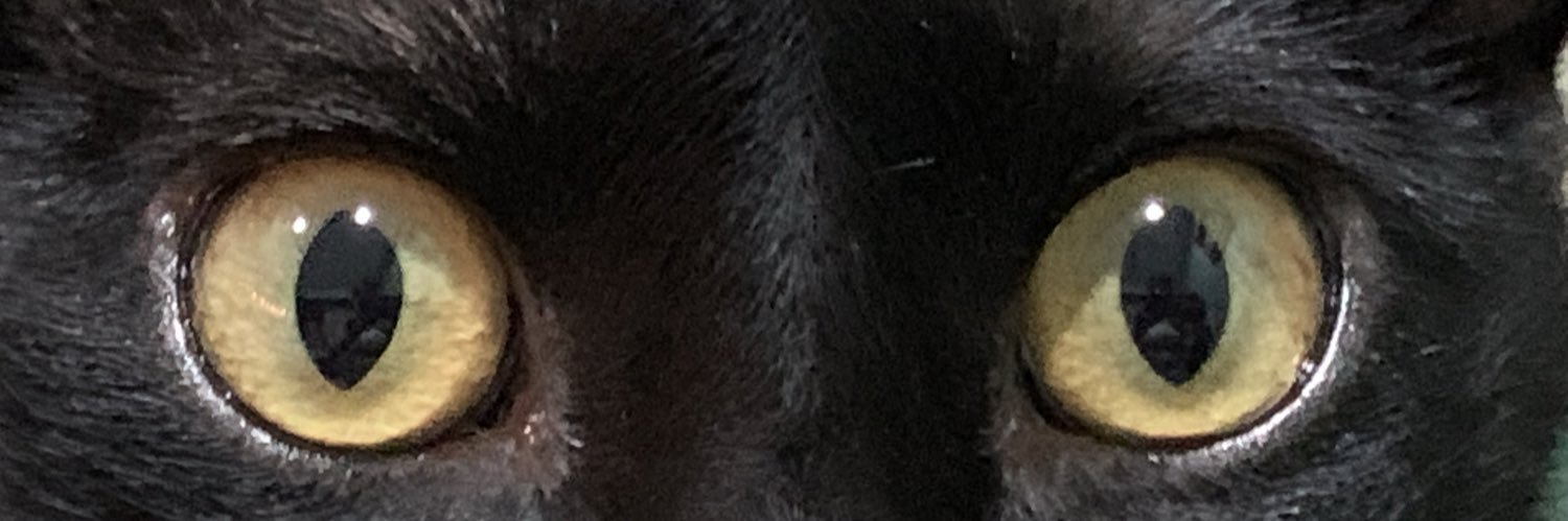 xime_sack's profile banner image