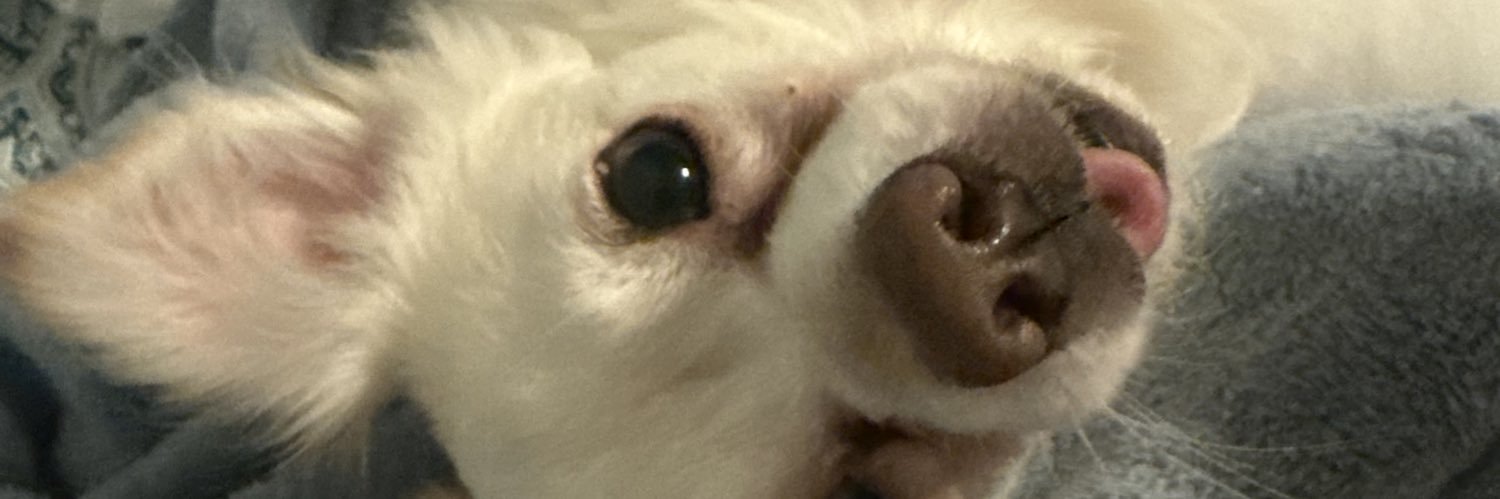 tinylittlecharm's profile banner image