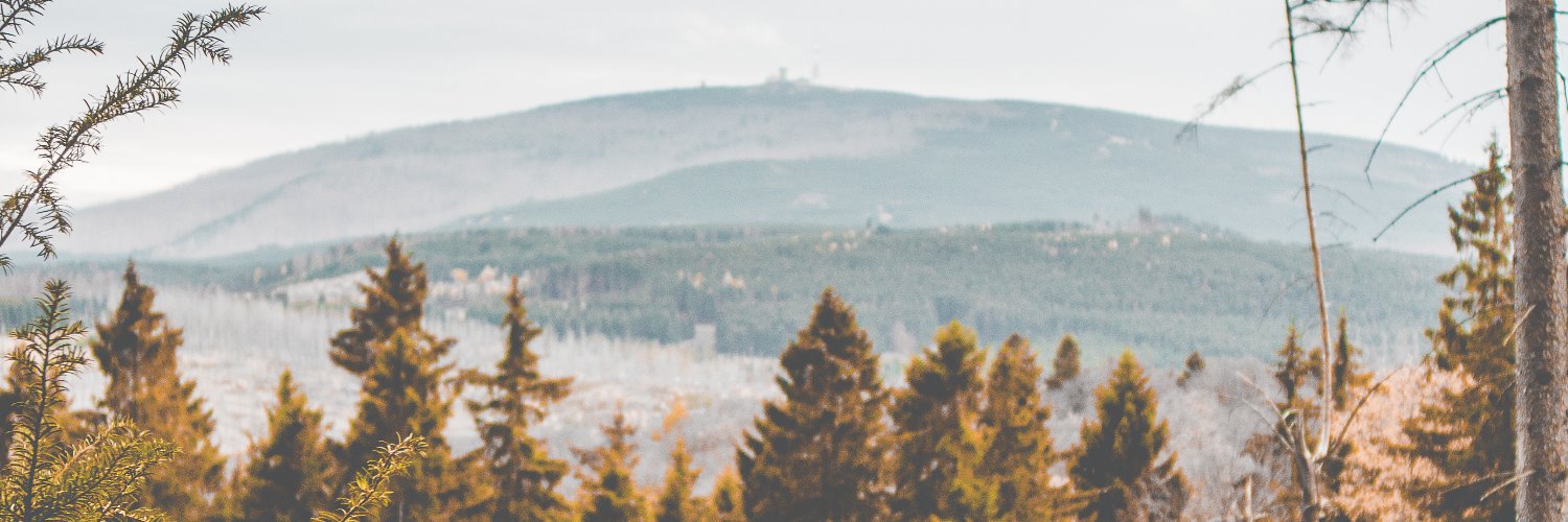 Fellegraphy's profile banner image