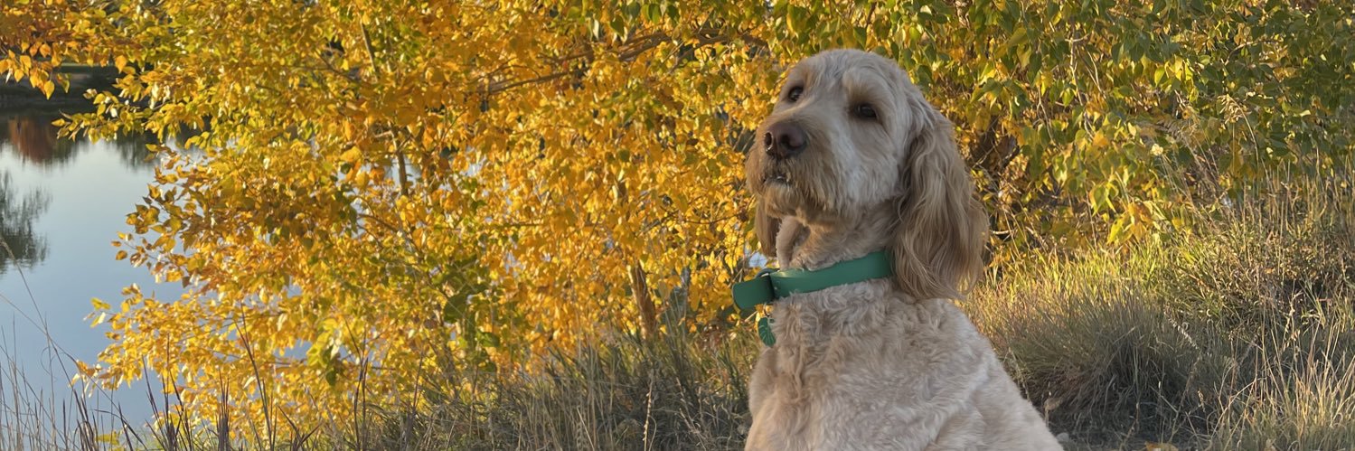 Yo Han Lee, Ph.D. banner