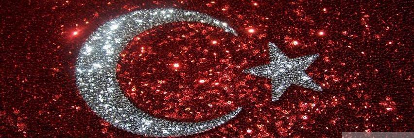 sehellsahin's profile banner image