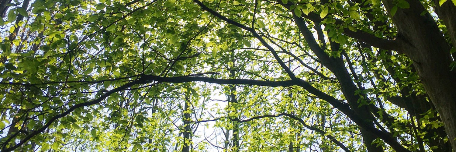 ellieeeeuh's profile banner image
